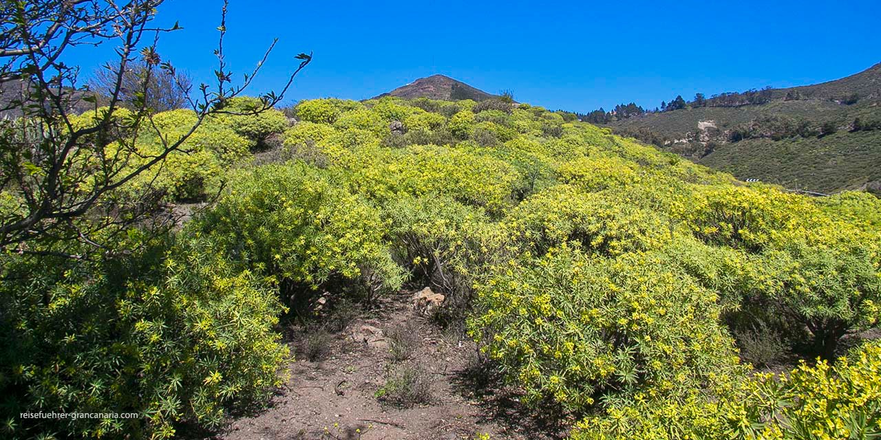 Cruz_de_Tejeda_RFGranCanaria05